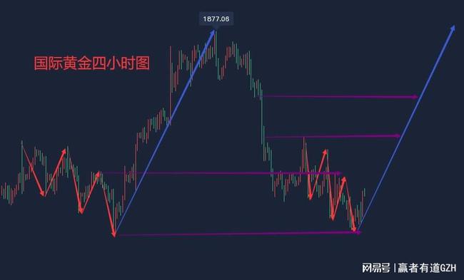 金最新建议，引领未来金融趋势与策略洞察，洞悉金融发展大势