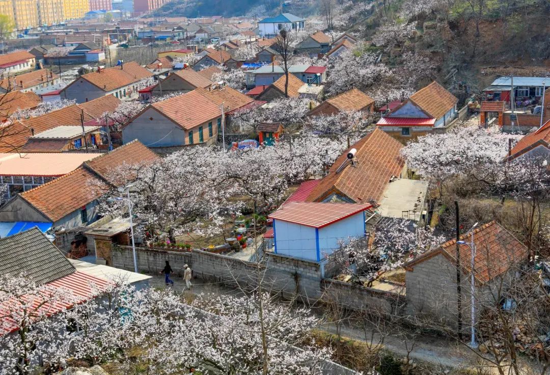 丹东土地最新探秘，巷弄深处的土地故事与美食奇遇
