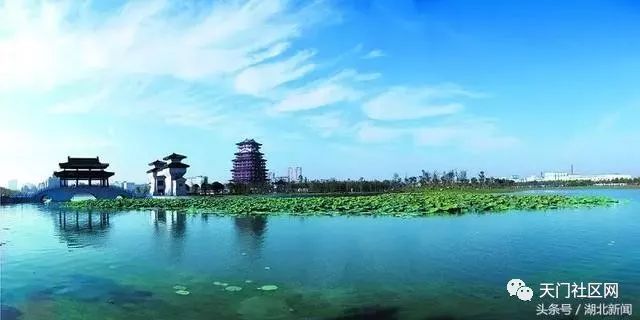 天门最新鱼情，游向成功的自信与成就感之旅