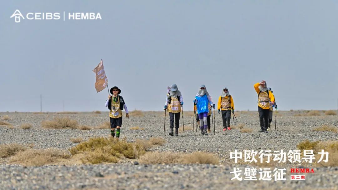 白上仙最新动态，力量变迁与自信成就感的旅程