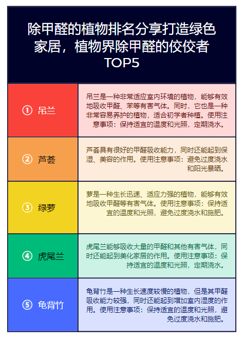 无锡小巷深处的绿色呼吸秘密，除甲醛价格与呼吸新鲜空气的权益