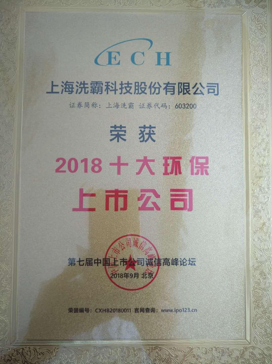 上海洗霸上市步骤指南，何时上市？全面解析上市流程！
