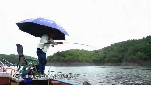 图书馆 第197页