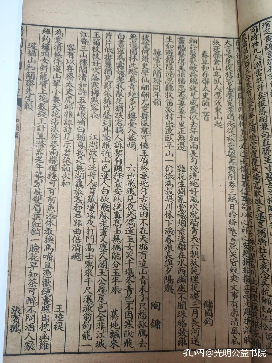 小巷深处的绿色奇遇，最新环保消息揭秘