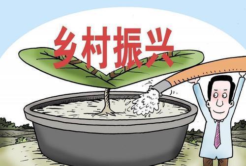 农村最新政策引领乡村振兴，共创美好未来