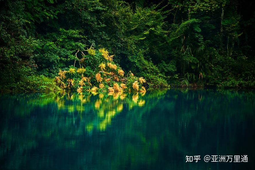 最新自然之旅，探寻内心平和之地的美景秘境