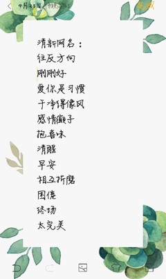 揭秘最新流行网名，一网打尽火热命名趋势！