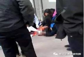 透视最新弃婴现象，揭示背后的复杂问题