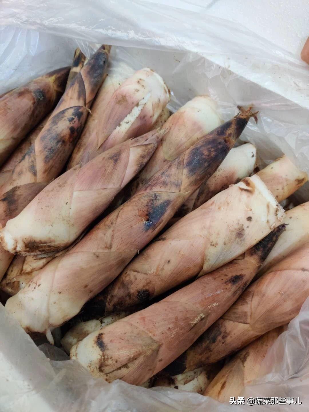图书馆 第144页