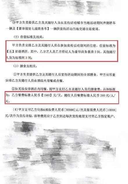 最新合同范本，爱与陪伴的奇妙日常故事