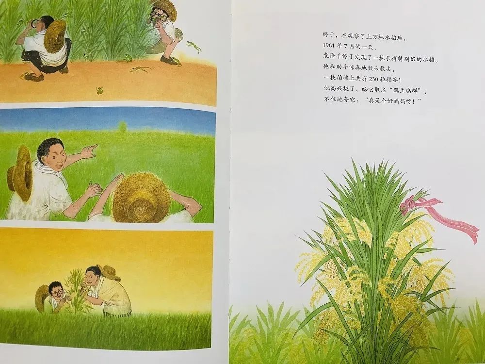 探索小明的世界，最新成长故事揭秘