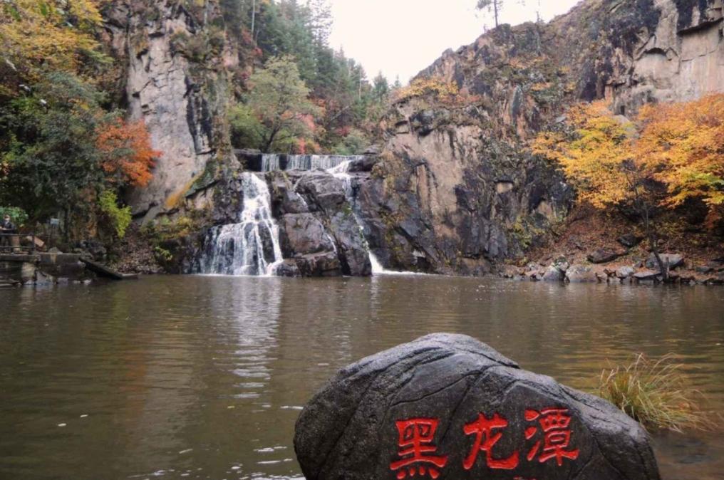 北京最新招聘，友情与工作的温馨交融