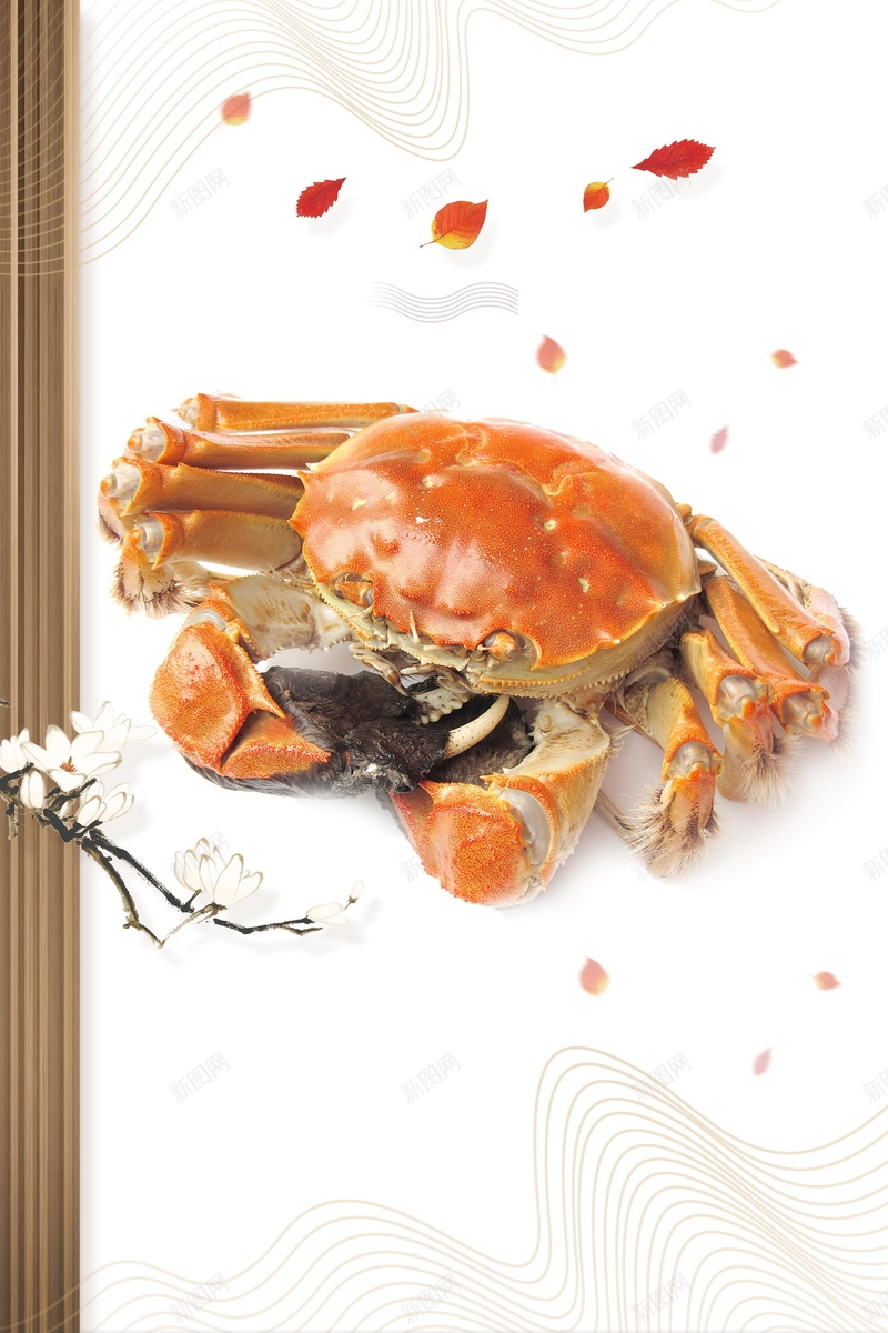 螃蟹最新价格