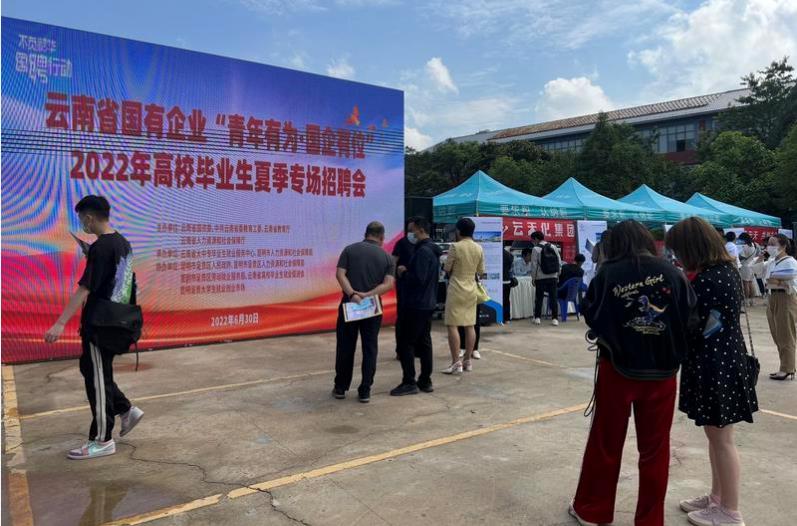 东莞制罐厂最新招聘，探索自然美景，寻求内心宁静与平和之旅