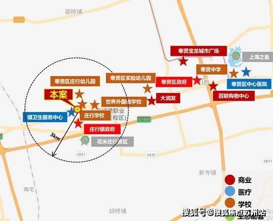 上海奉贤房价最新动态，市场走势分析与个人观点分享