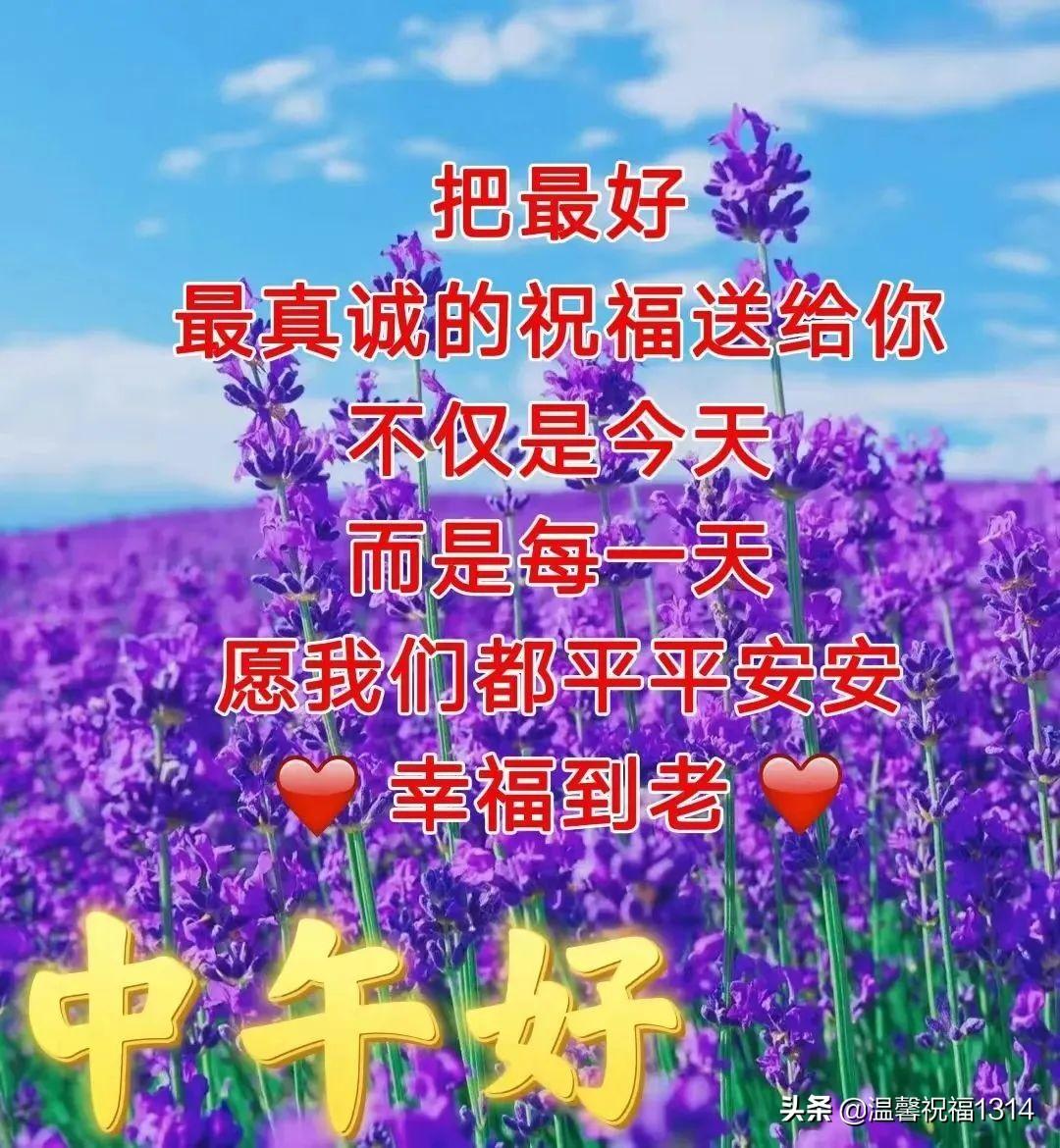 软天空官方最新版，友情的天空与家的温馨体验